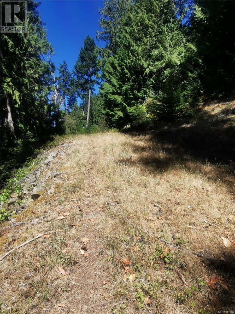 Lot 9 Beechwood Dr — Mayne Island, British Columbia - Photo 4 of 18