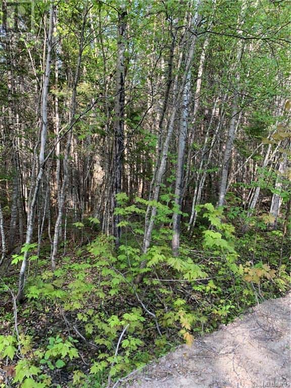 Lot 79-2 Route 134 Galloway — Galloway, New Brunswick - Photo 2 of 2