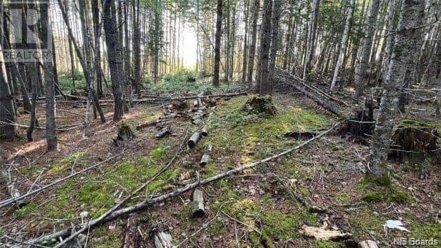 Lot Bantalor Road — Boiestown, New Brunswick - Photo 2 of 3