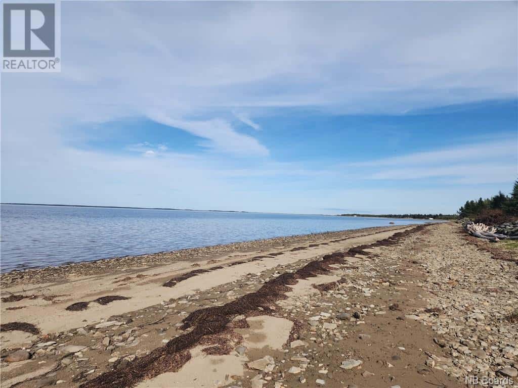 124 acres Route 117 — Hardwicke, New Brunswick - Photo 5 of 15