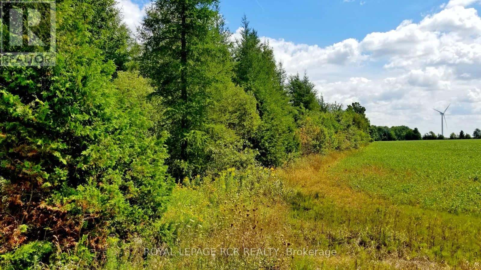 LOT 31 9 COUNTY ROAD — Melancthon, Ontario - Photo 4 of 12