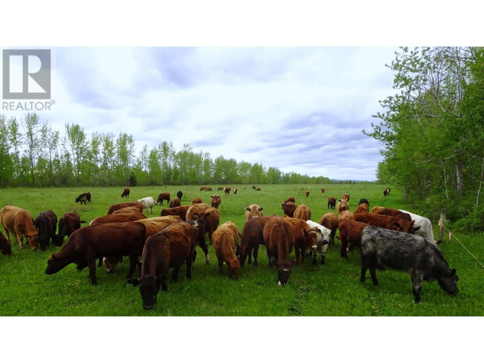 DL4905 DAY ROAD — Horsefly, British Columbia - Photo 5 of 23