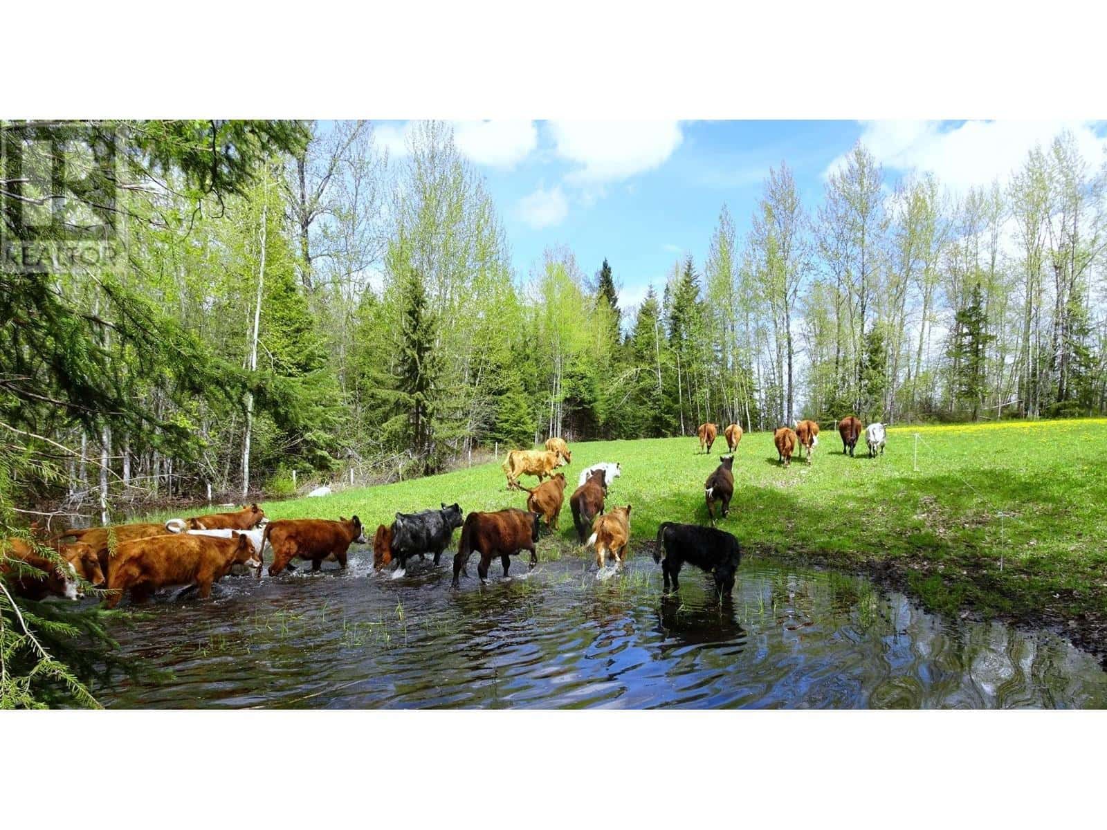 DL4905 DAY ROAD — Horsefly, British Columbia - Photo 2 of 23