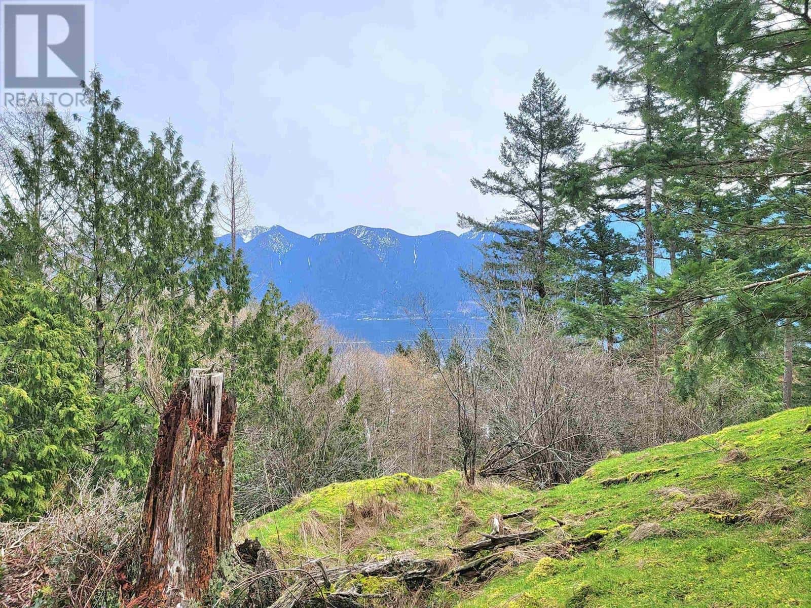 1562 EAGLECLIFF Road