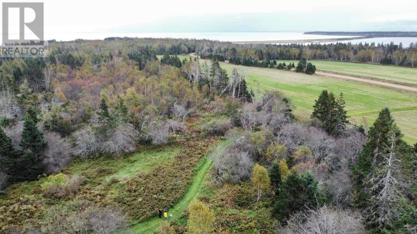 Acreage Bruce Point Road — Launching, Prince Edward Island - Photo 5 of 7