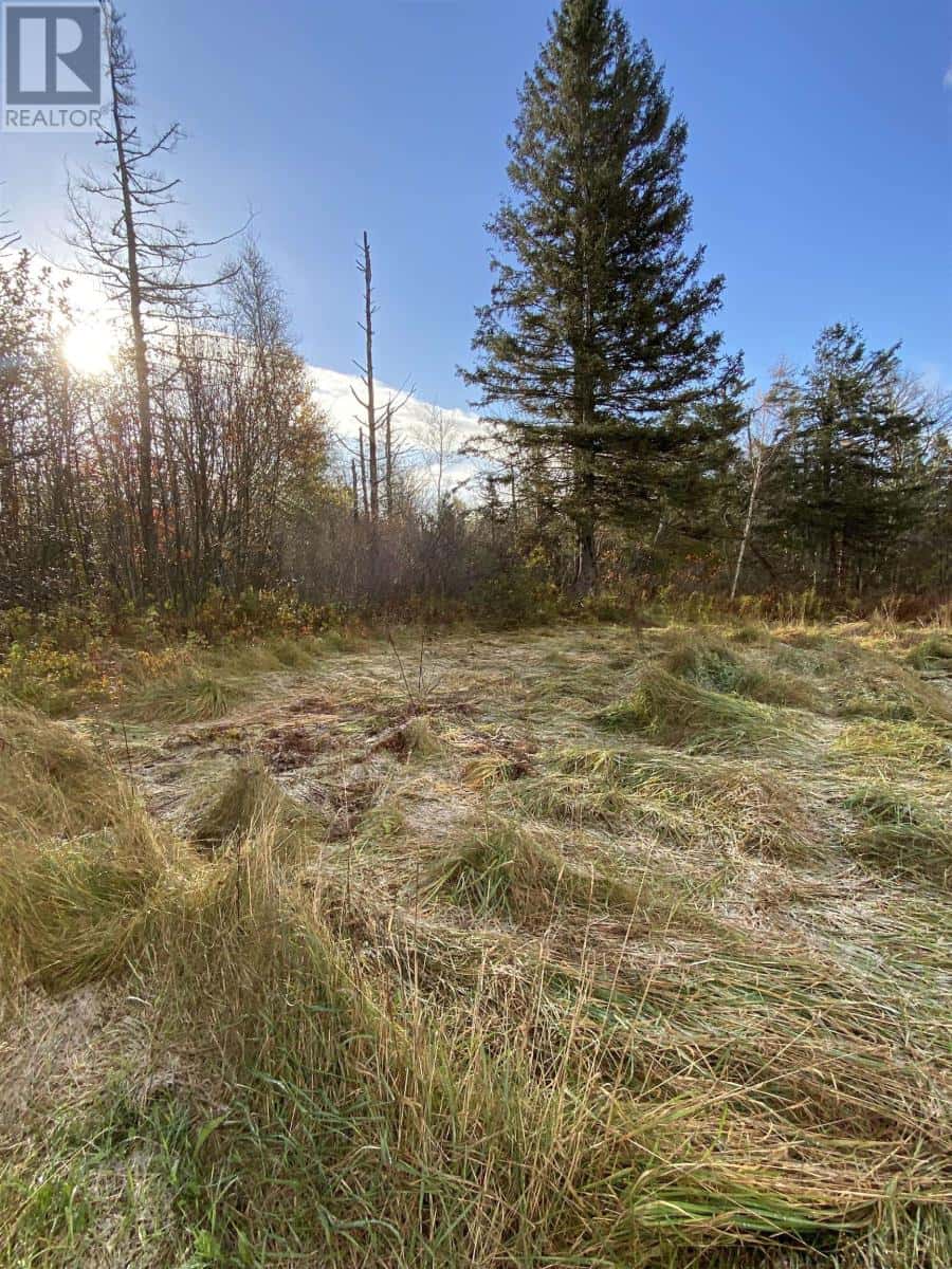 LOT BURNT POINT Road — Georgetown, Prince Edward Island - Photo 4 of 23