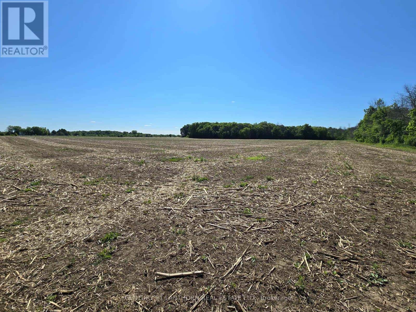 0 CARD ROAD — Stone Mills (Stone Mills), Ontario - Photo 4 of 10