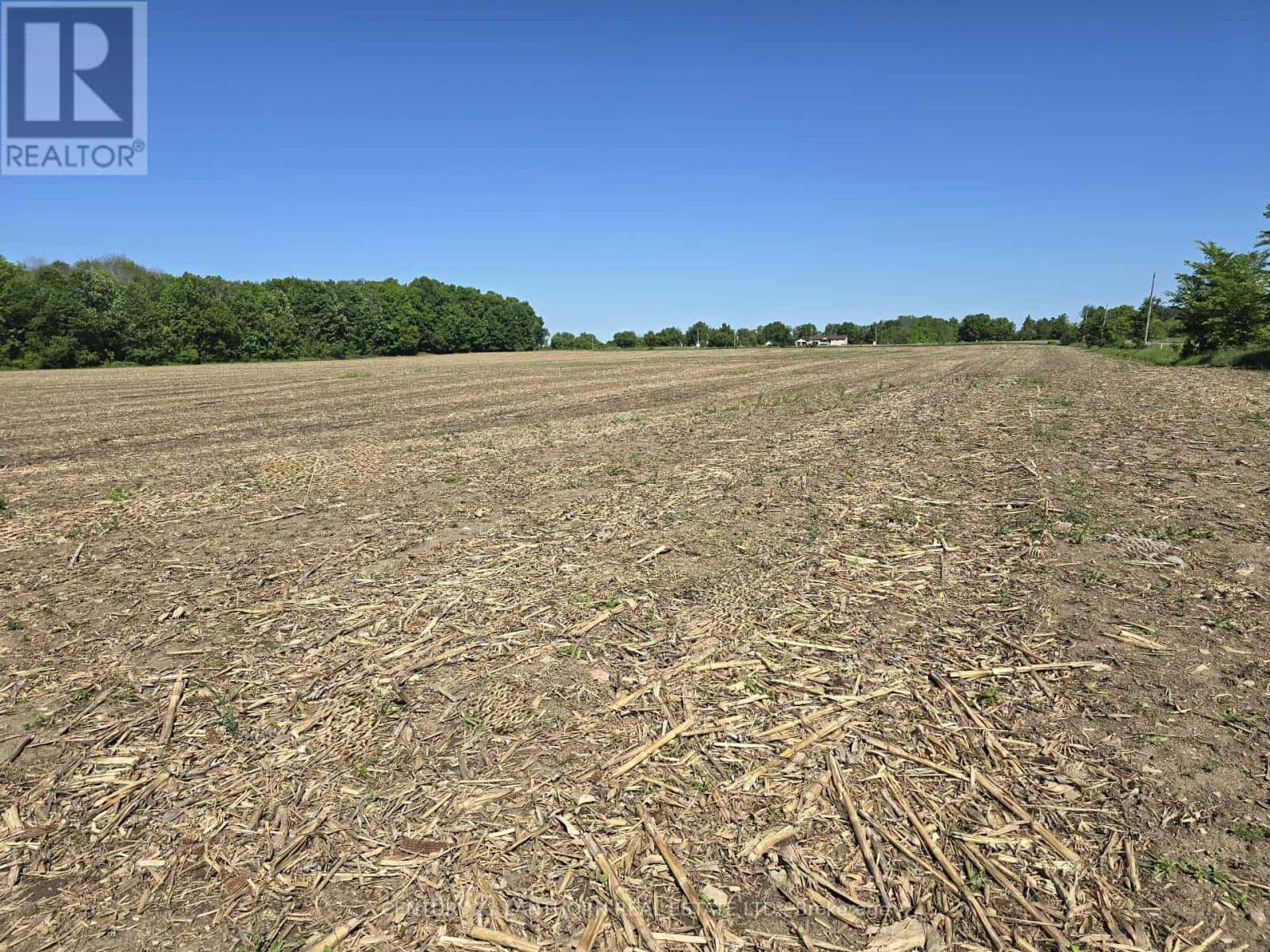 0 CARD ROAD — Stone Mills (Stone Mills), Ontario - Photo 5 of 10