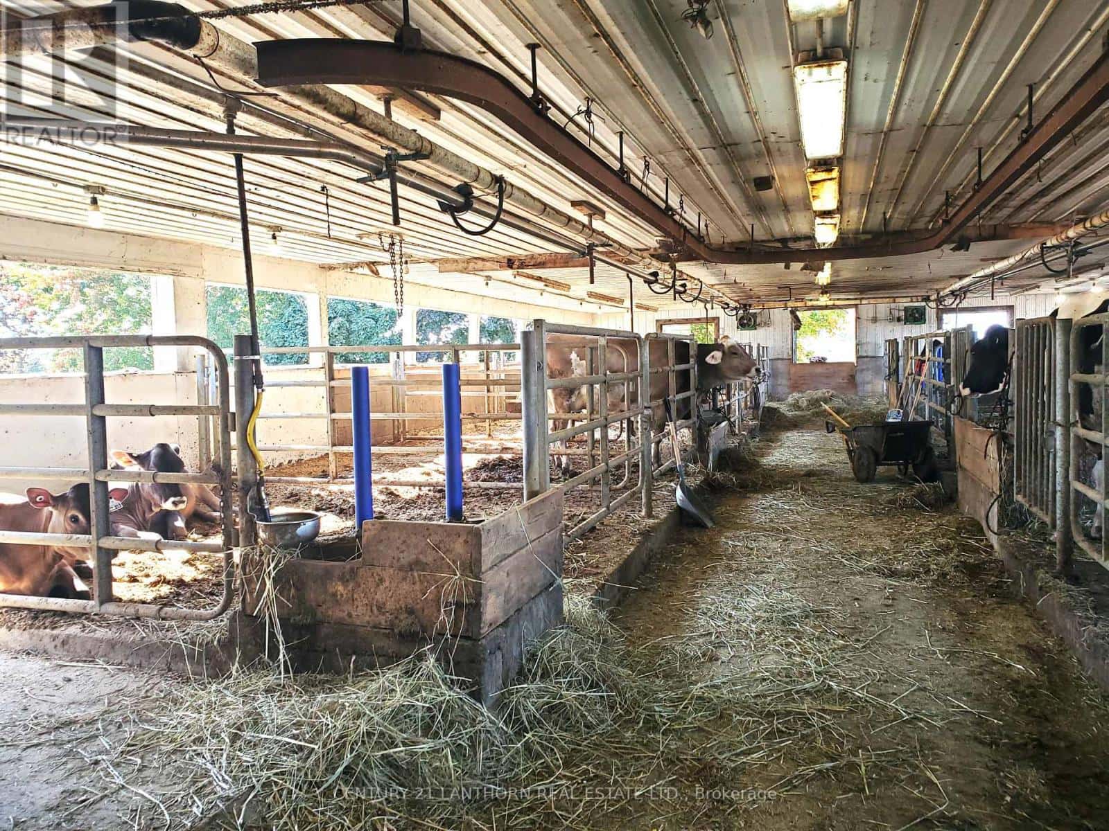 173 CARD ROAD — Stone Mills (Stone Mills), Ontario - Photo 5 of 40