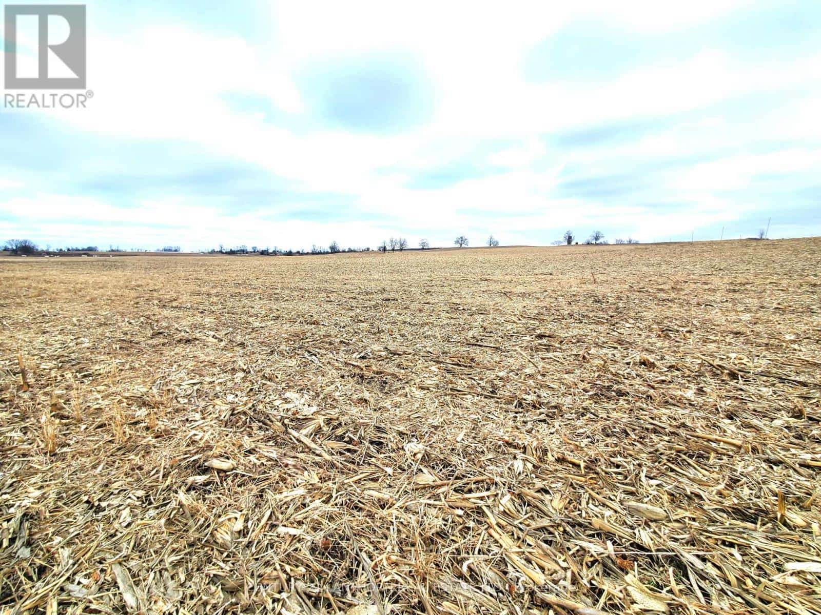 173 (A) CARD ROAD — Stone Mills (Stone Mills), Ontario - Photo 3 of 40