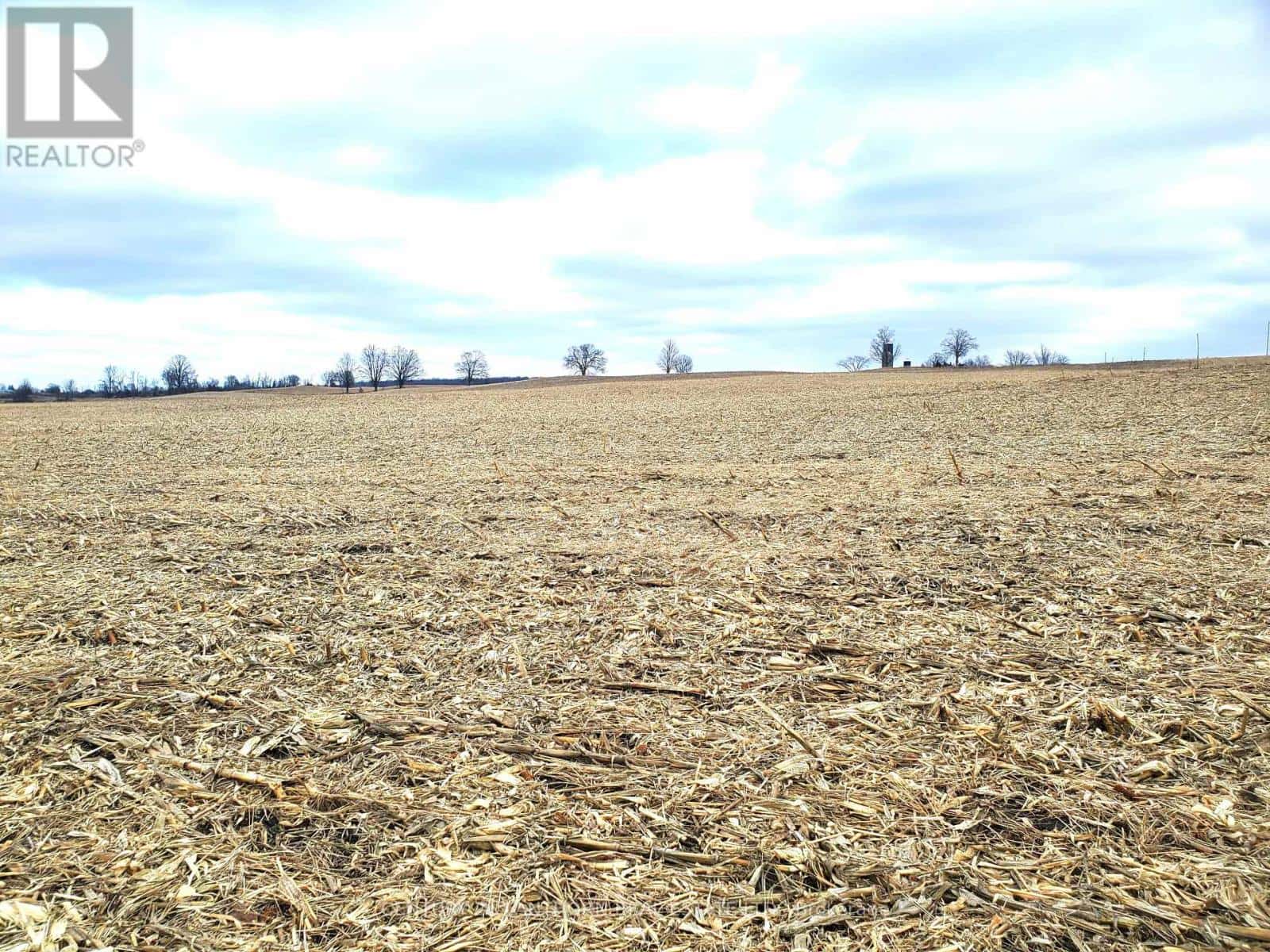 173 (A) CARD ROAD — Stone Mills (Stone Mills), Ontario - Photo 4 of 40