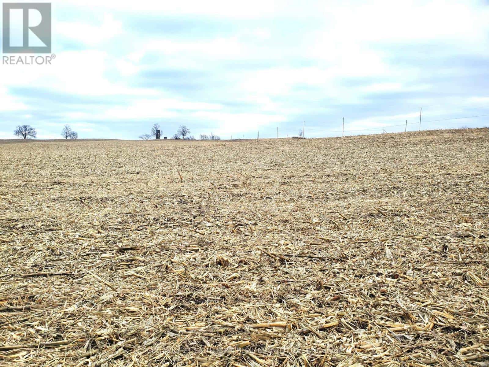 173 (A) CARD ROAD — Stone Mills (Stone Mills), Ontario - Photo 5 of 40