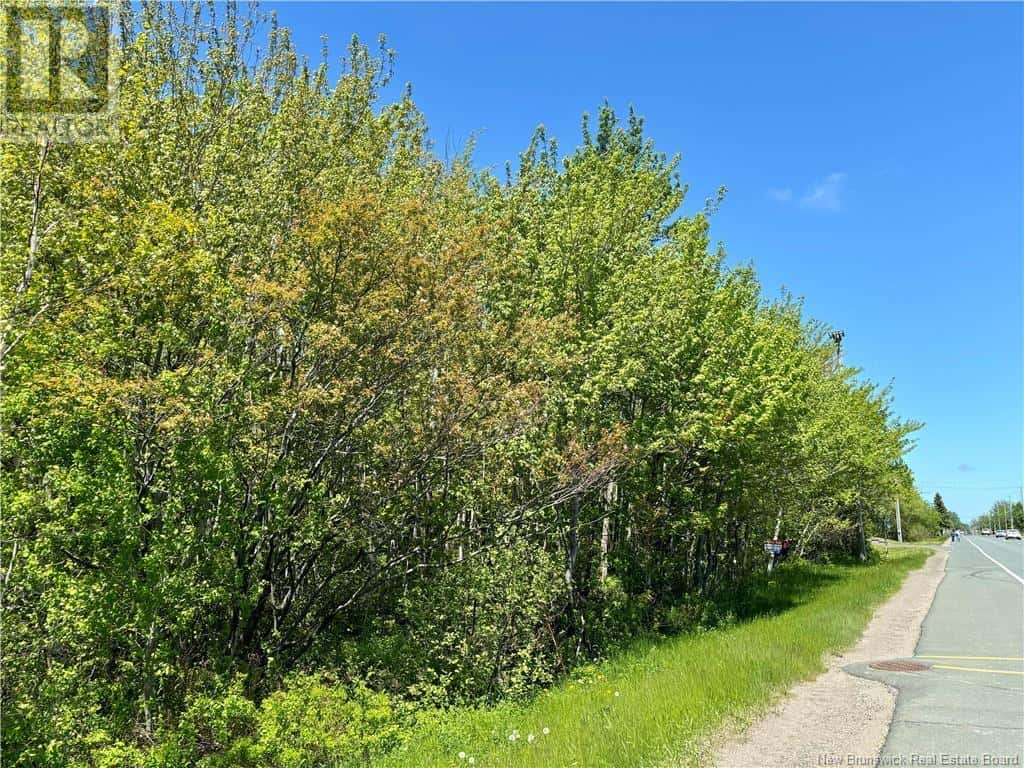 4000 sqm rue Principale