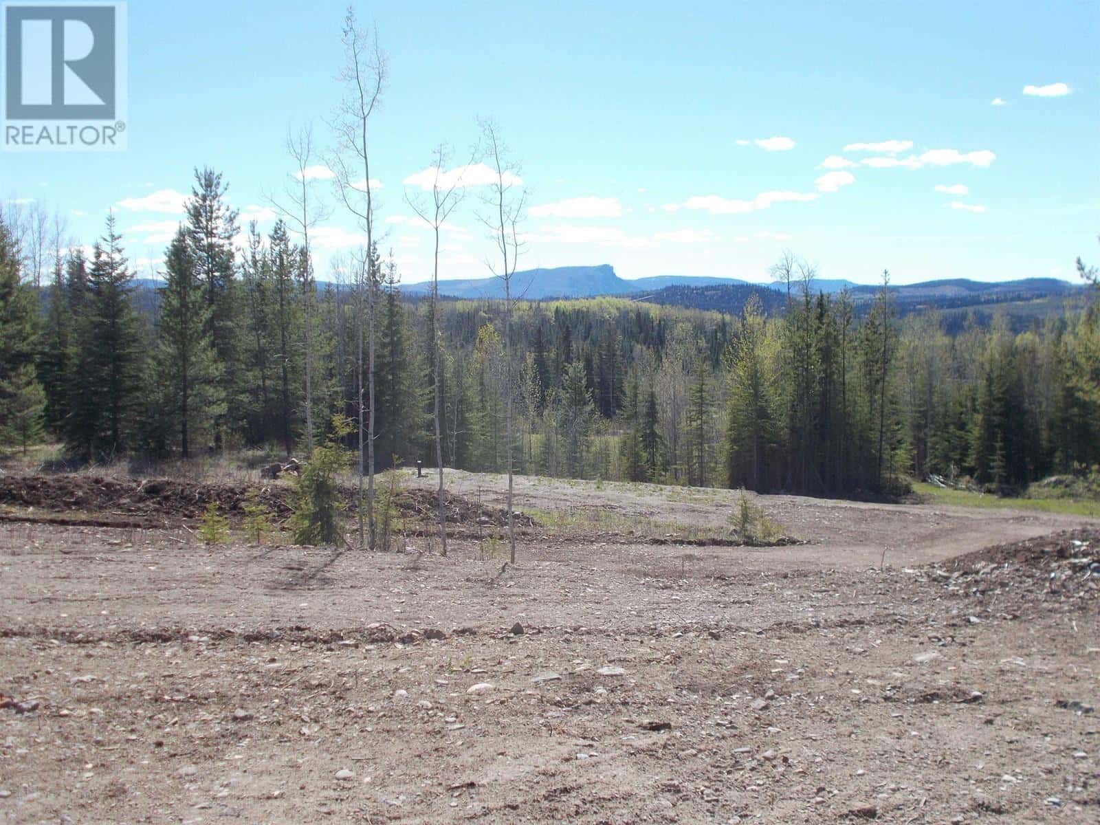 29886 MEANWHILE ROAD — Topley, British Columbia - Photo 4 of 8