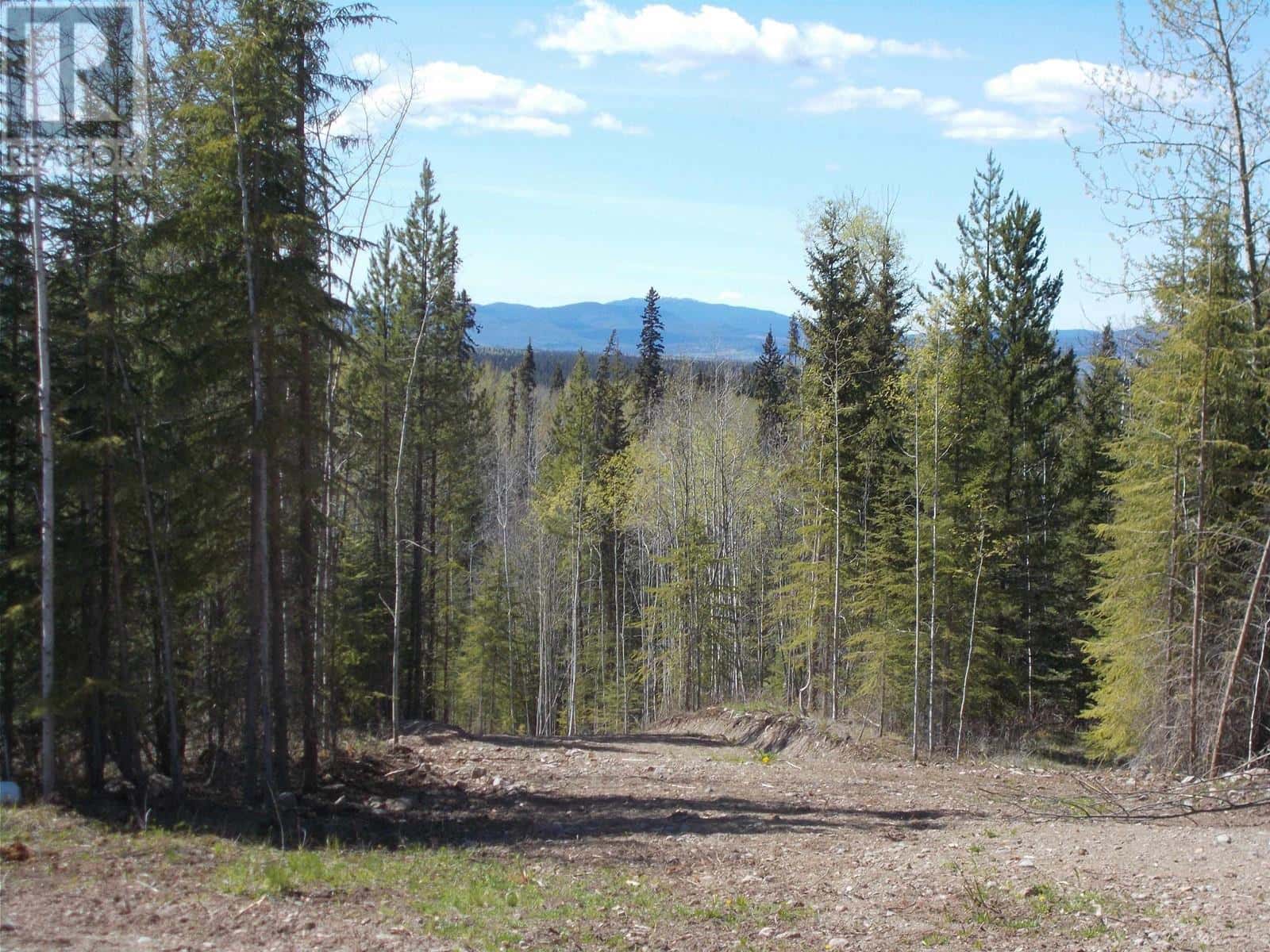 29886 MEANWHILE ROAD — Topley, British Columbia - Photo 5 of 8