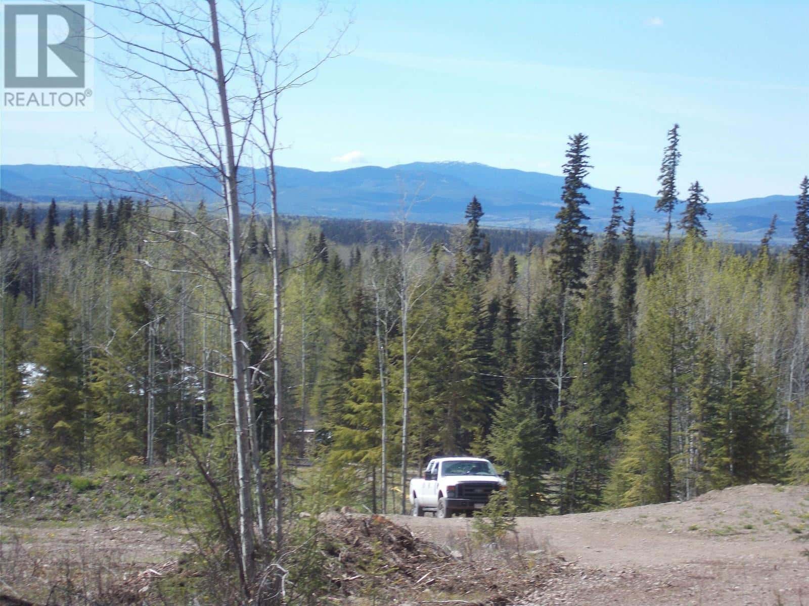 29886 MEANWHILE ROAD — Topley, British Columbia - Photo 3 of 8