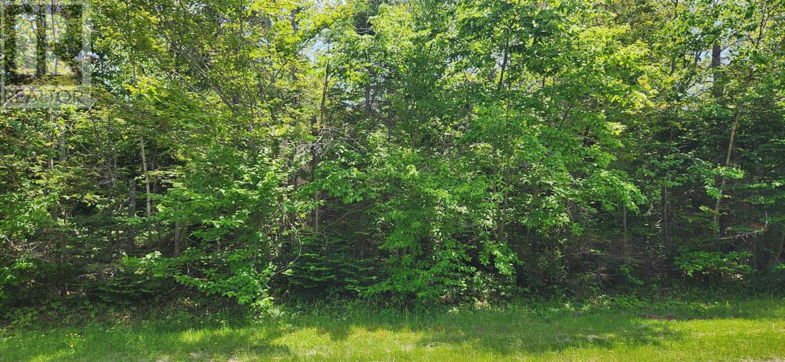 Acreage Greys Road Road