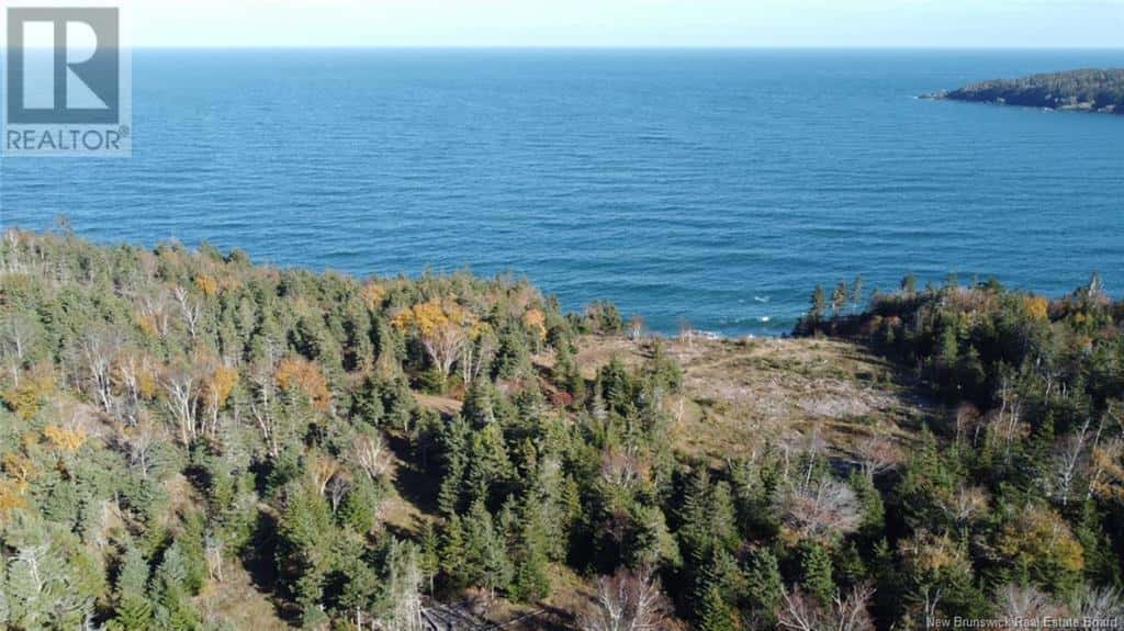 LOT 10-01 Golden Mile Drive — Grand Manan, New Brunswick - Photo 5 of 30