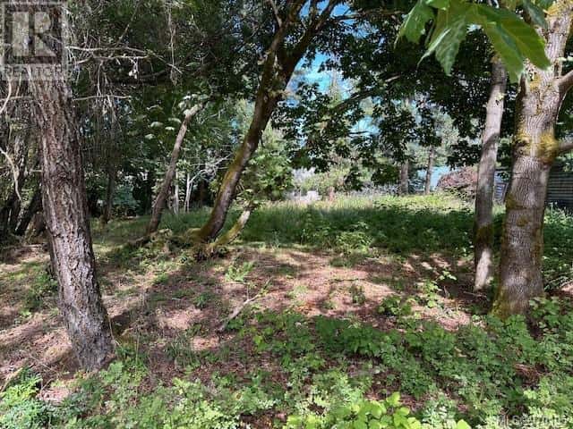 Lot 25 Whalebone Road