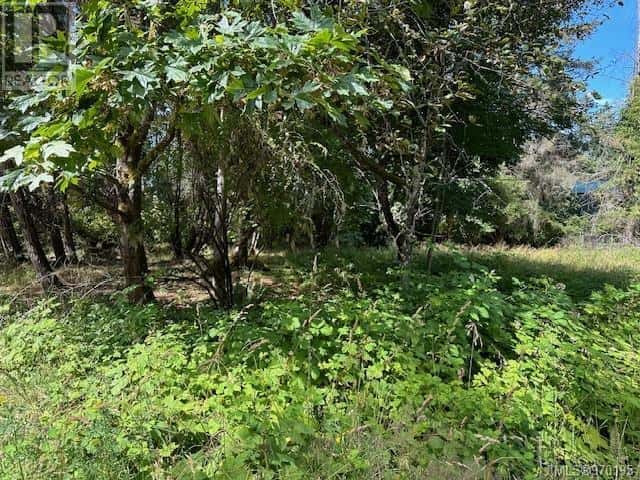 Lot 25 Whalebone Rd — Gabriola Island, British Columbia - Photo 3 of 3