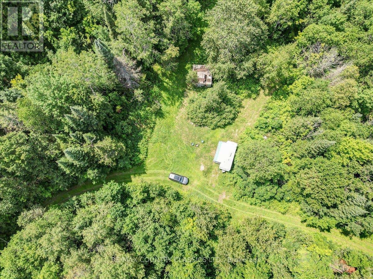 0 NORTH RUSAW ROAD — North Kawartha, Ontario - Photo 3 of 37