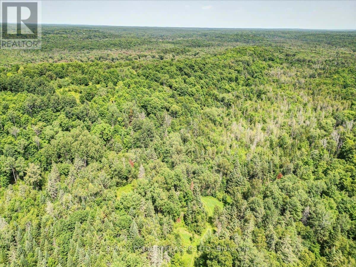 0 NORTH RUSAW ROAD — North Kawartha, Ontario - Photo 4 of 37