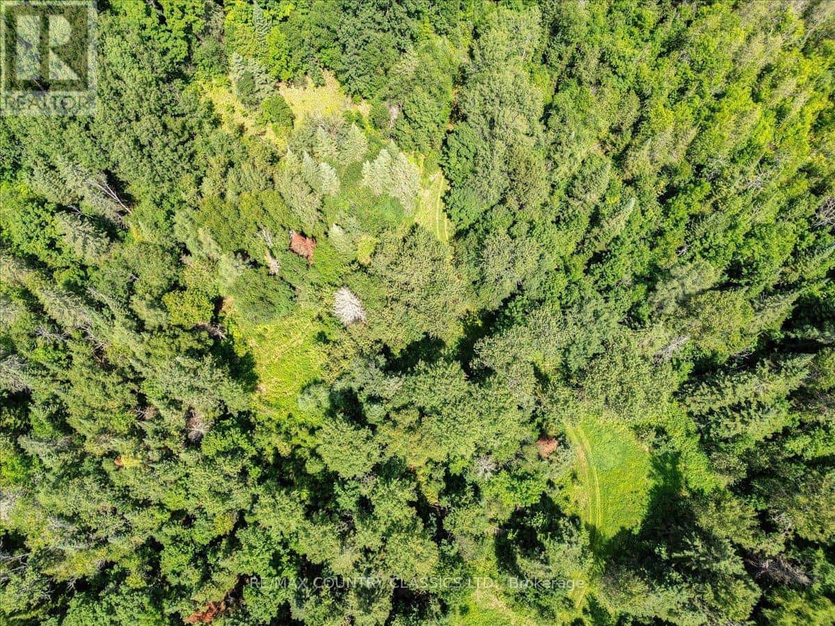 0 NORTH RUSAW ROAD — North Kawartha, Ontario - Photo 5 of 37