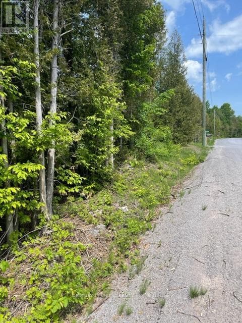 0 NORTH SCHOOL ROAD — Havelock-Belmont-Methuen (Belmont-Methuen), Ontario - Main photo