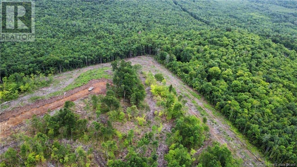 Lot 19 Crabbe Mountain — Central Hainesville, New Brunswick - Photo 5 of 14