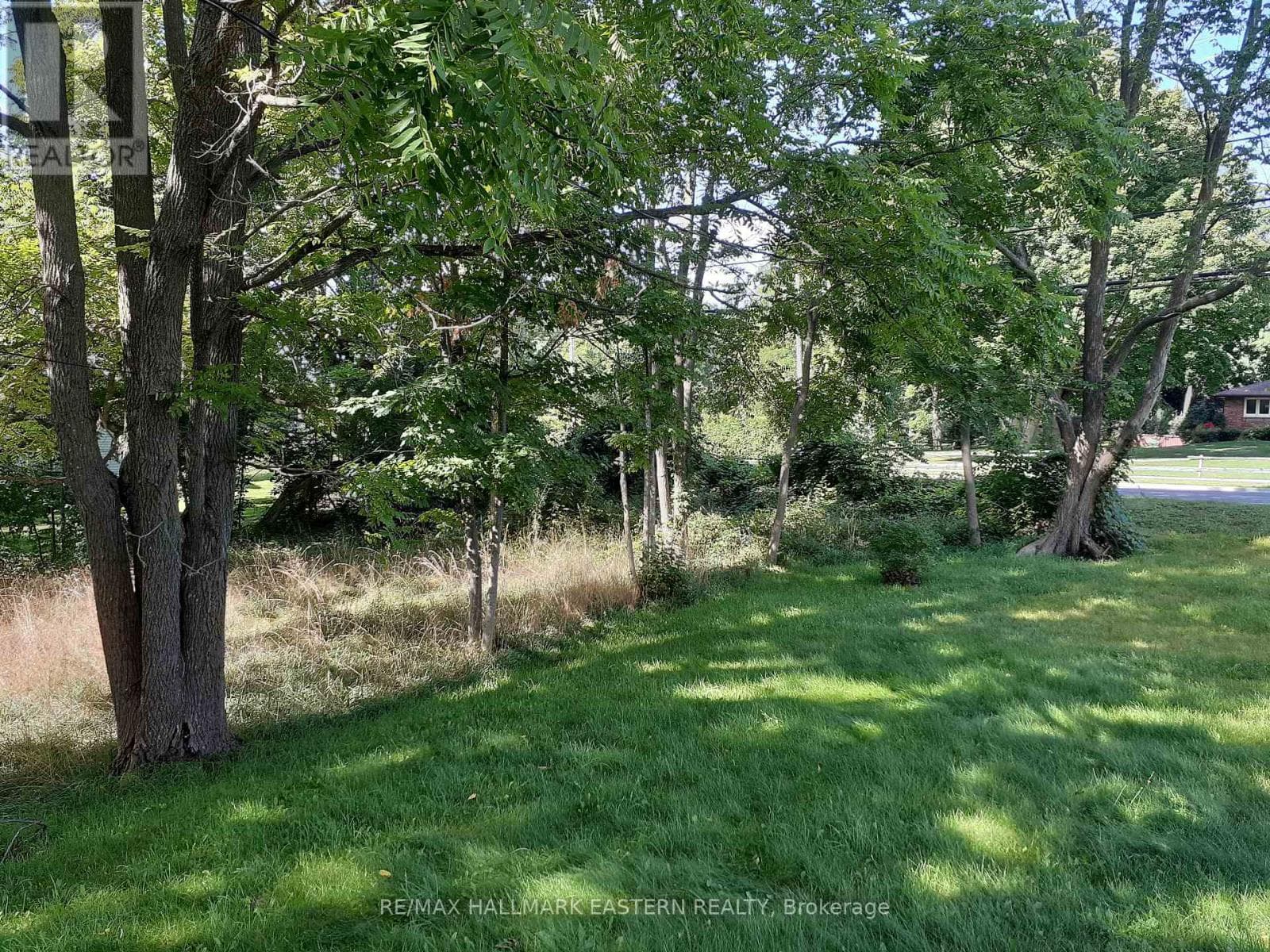 227 A QUEEN STREET — Selwyn, Ontario - Main photo