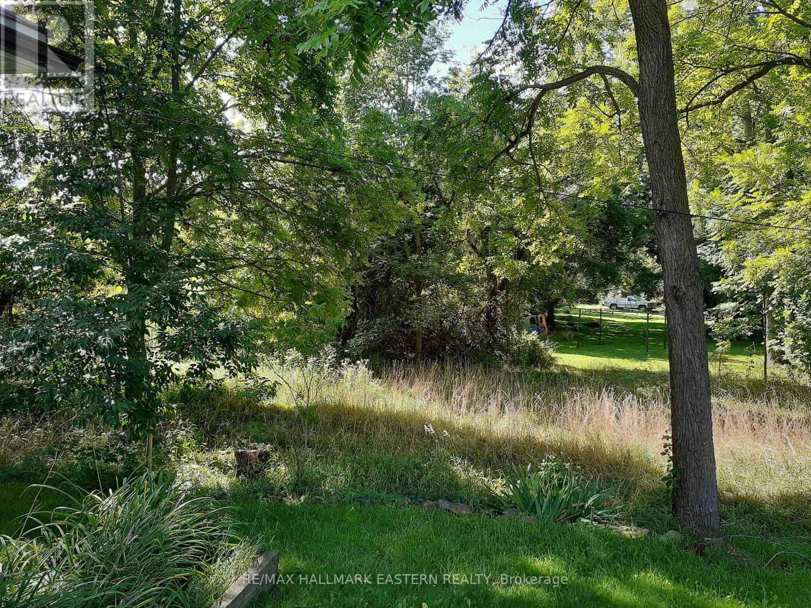 227 A QUEEN STREET — Selwyn, Ontario - Photo 2 of 9