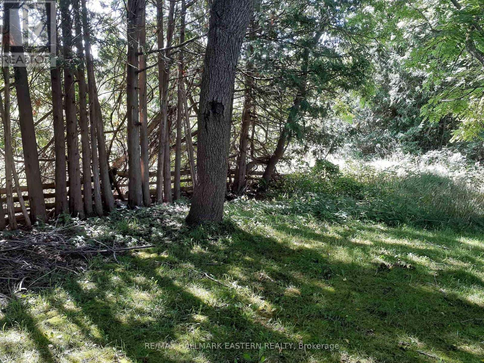 227 A QUEEN STREET — Selwyn, Ontario - Photo 4 of 9