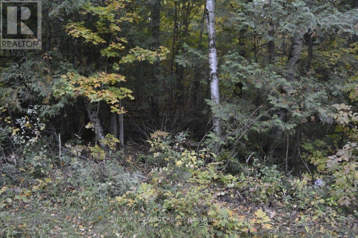 PtLt 61 Old Hastings Road