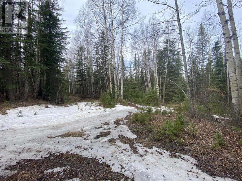 5-23-52-20 NW — Rural Yellowhead County, Alberta - Photo 3 of 5