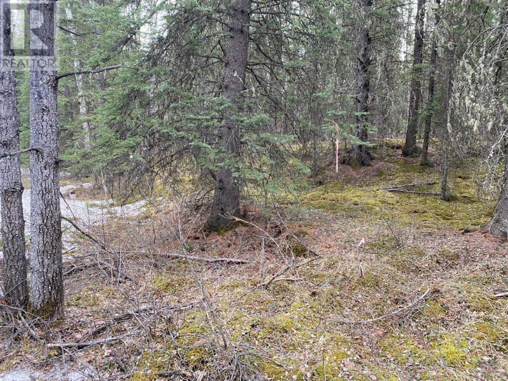 5-23-52-20 NW — Rural Yellowhead County, Alberta - Photo 4 of 5