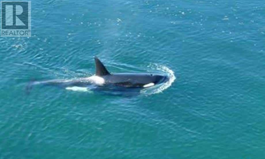 315 DEACON LANE — Galiano Island, British Columbia - Photo 3 of 35