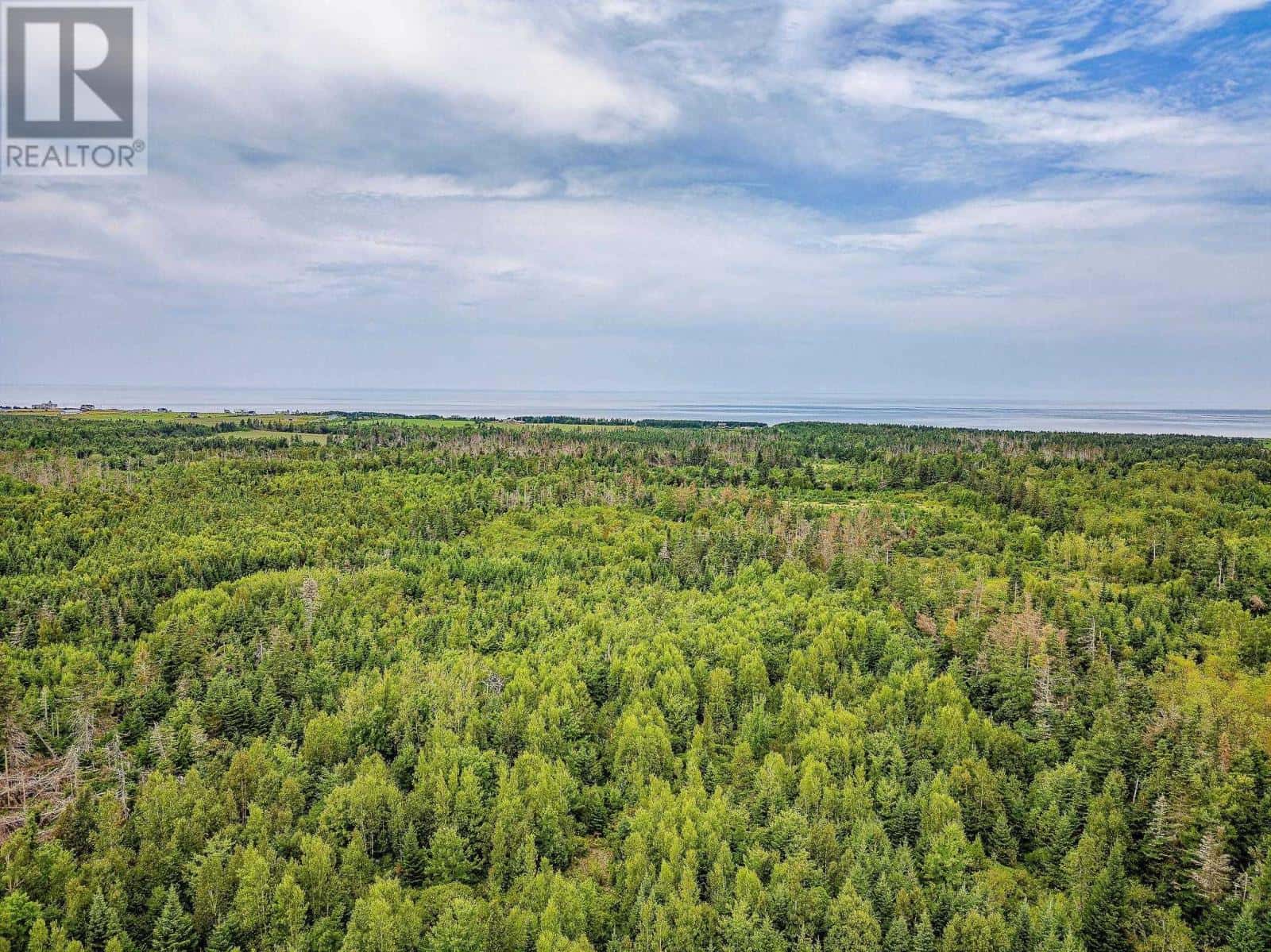 ACREAGE CABLE HEAD EAST — Cable Head East, Prince Edward Island - Photo 5 of 5
