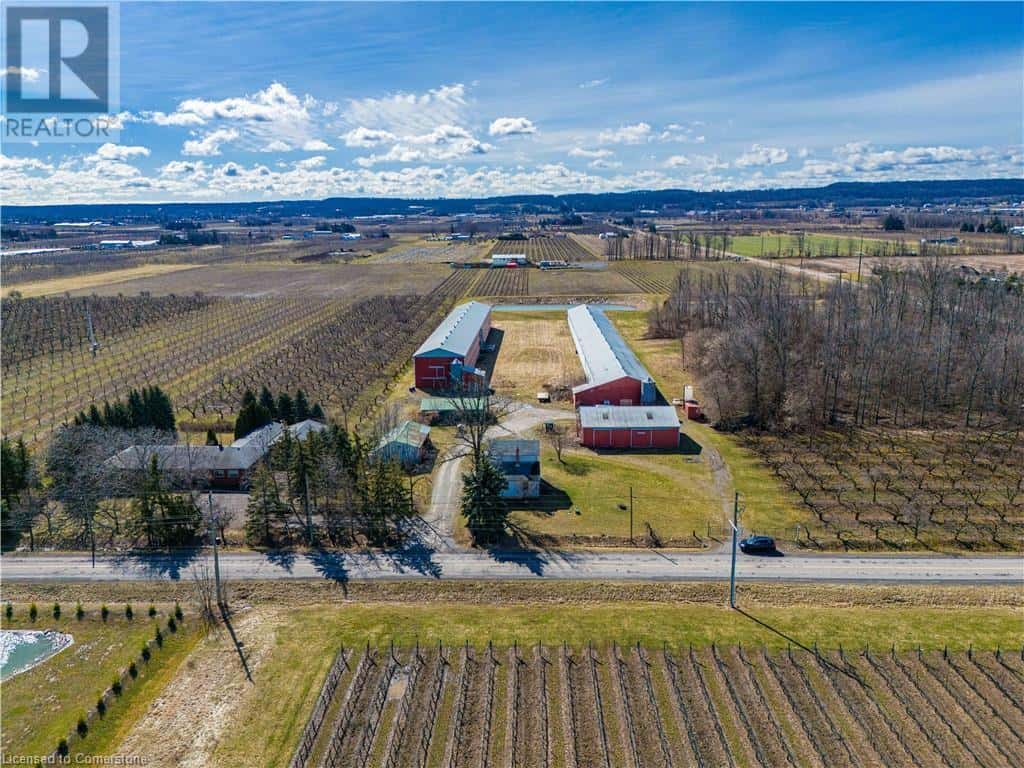 3762-3766 GREENLANE Road — Beamsville, Ontario - Photo 3 of 50