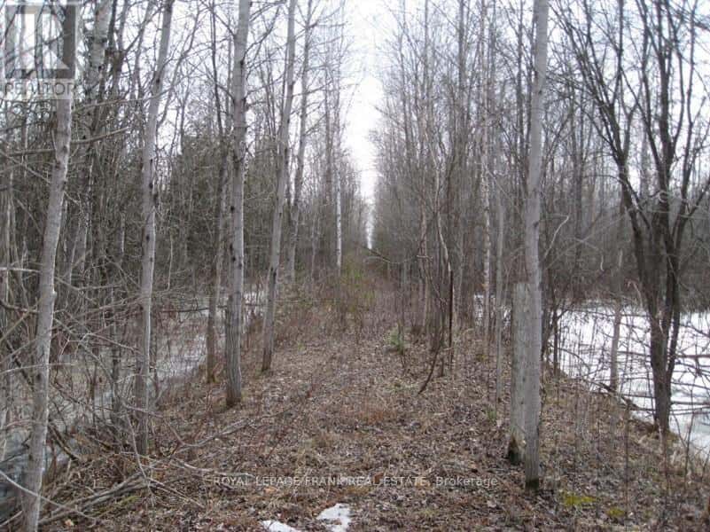 0 MERVIN LINE — Cavan Monaghan (Cavan-Monaghan), Ontario - Photo 2 of 17