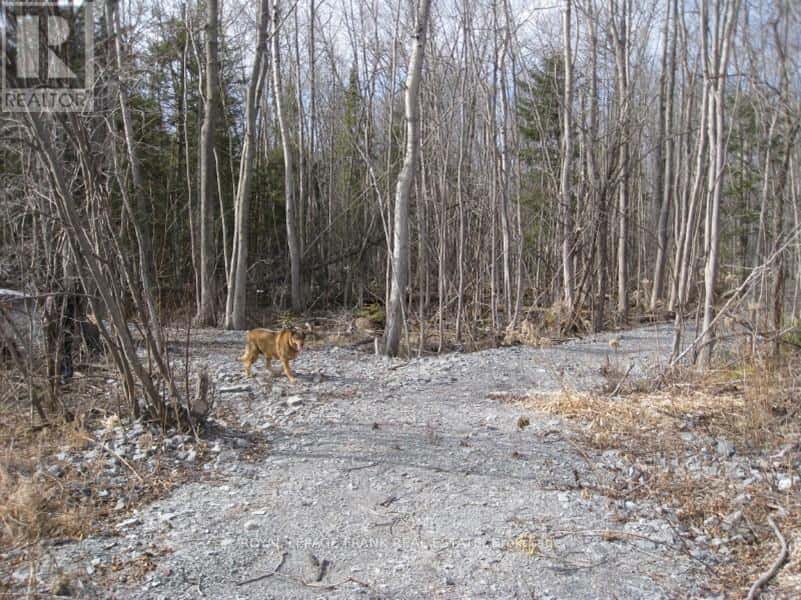 0 MERVIN LINE — Cavan Monaghan (Cavan-Monaghan), Ontario - Photo 3 of 17