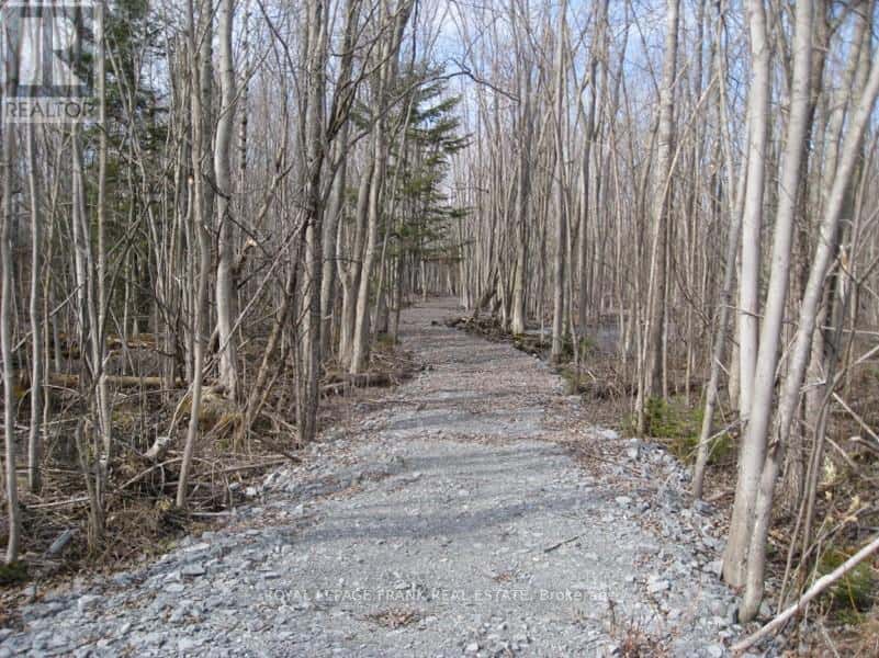 0 MERVIN LINE — Cavan Monaghan (Cavan-Monaghan), Ontario - Photo 4 of 17