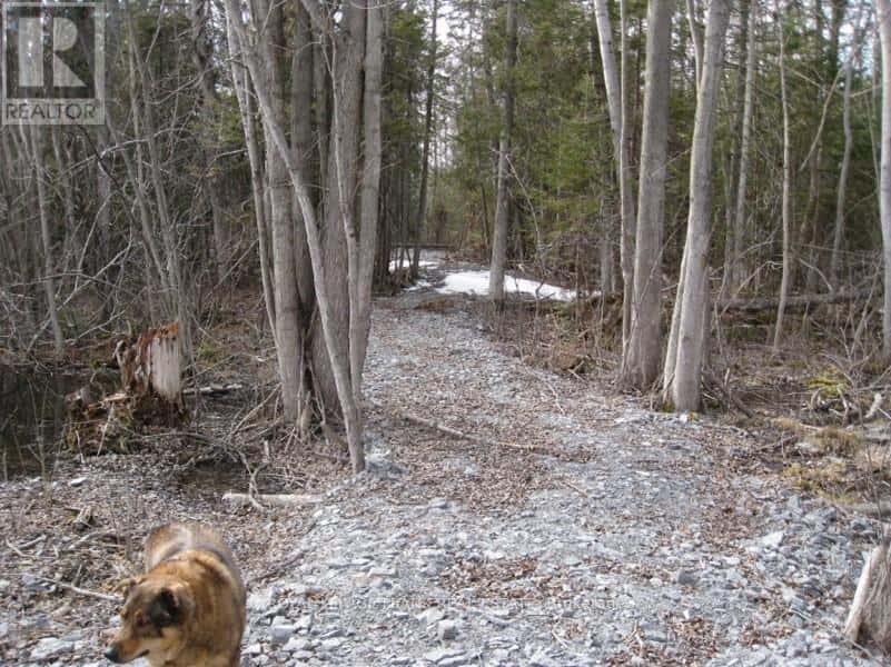 0 MERVIN LINE — Cavan Monaghan (Cavan-Monaghan), Ontario - Photo 5 of 17