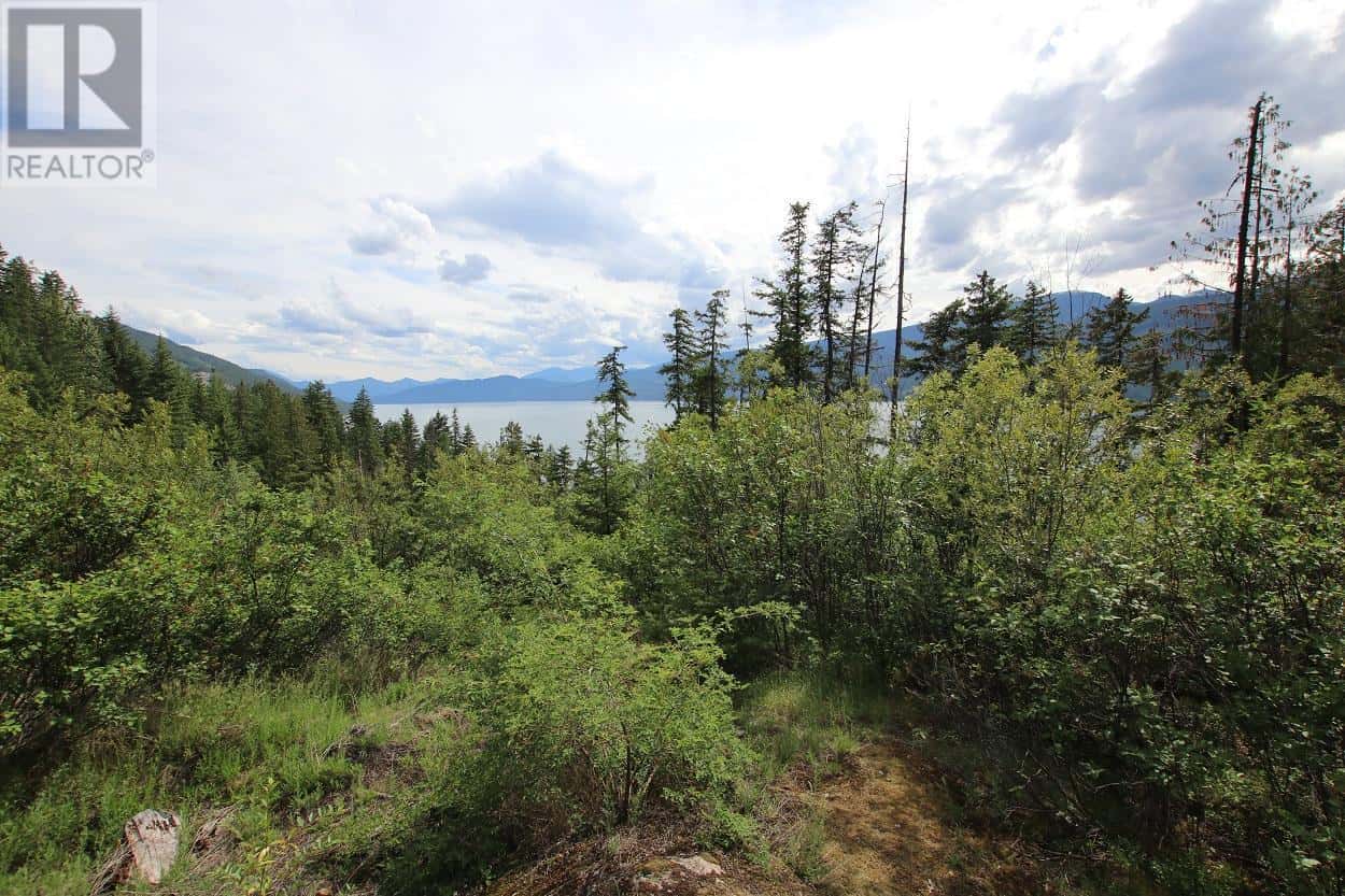 Lot B Highway 23 — Nakusp, British Columbia - Photo 2 of 19