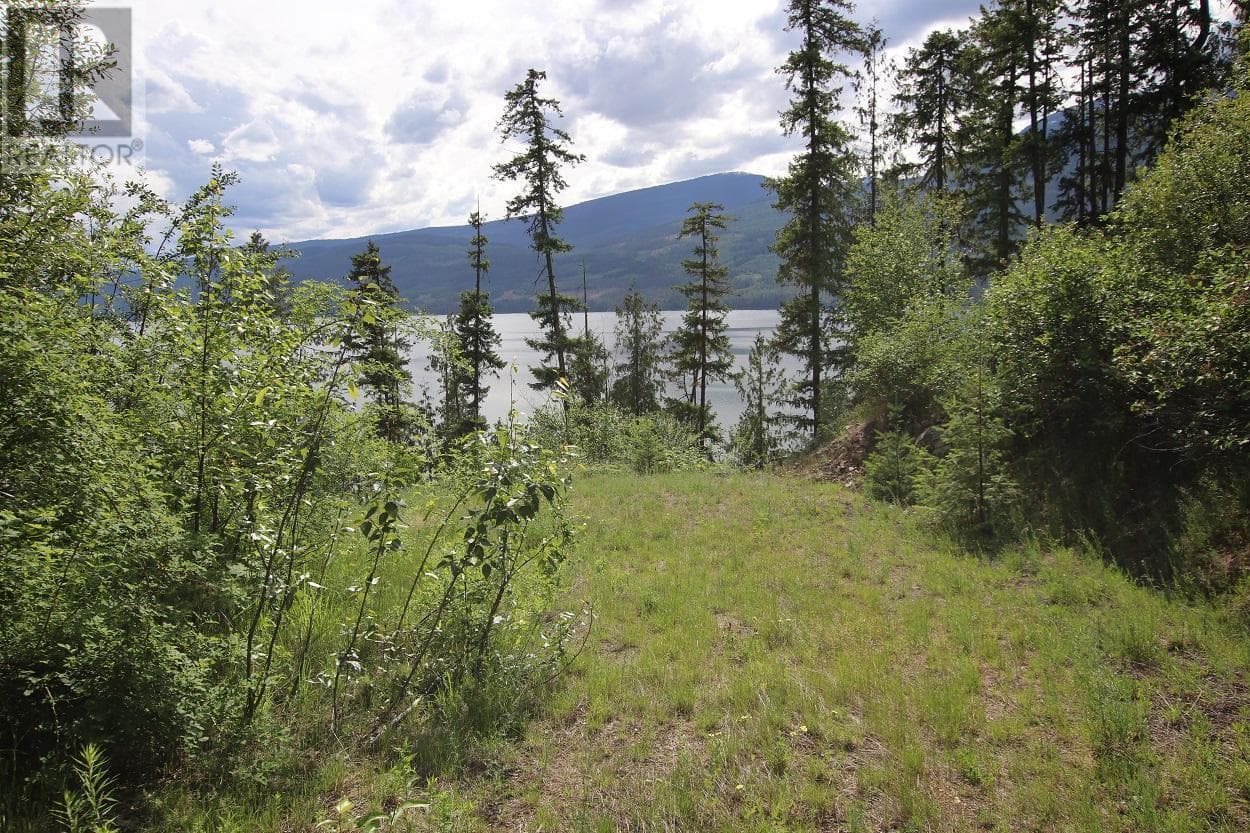 Lot B Highway 23 — Nakusp, British Columbia - Main photo