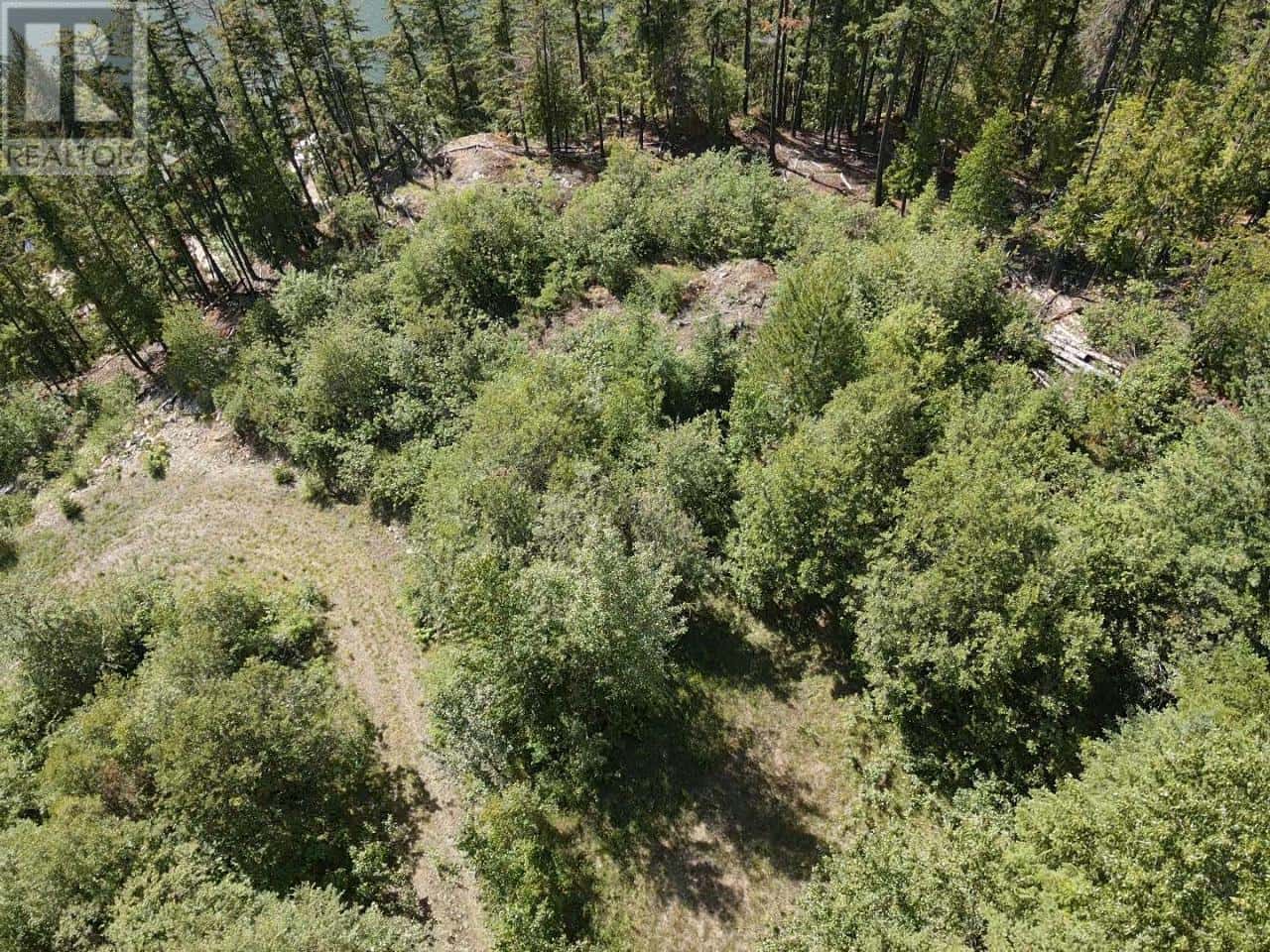 Lot B Highway 23 — Nakusp, British Columbia - Photo 3 of 19