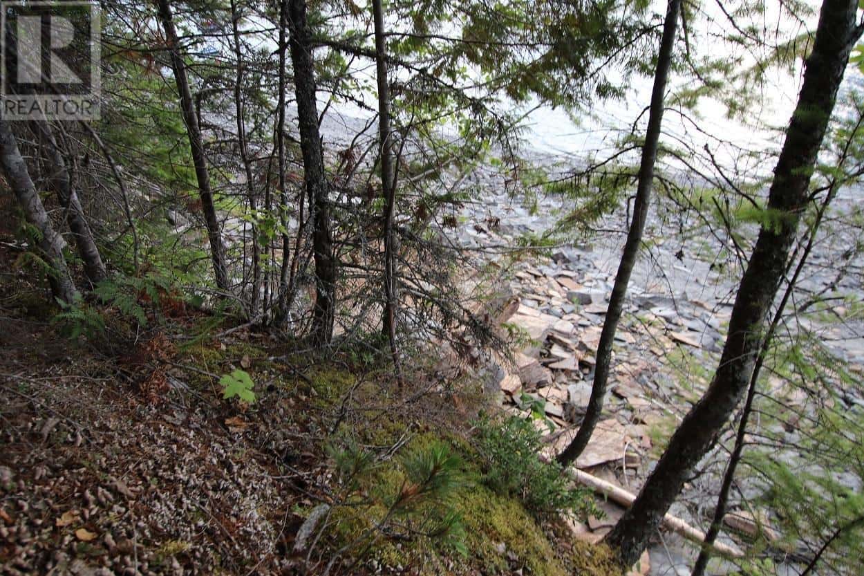 5621 Highway 23 — Nakusp, British Columbia - Photo 3 of 20