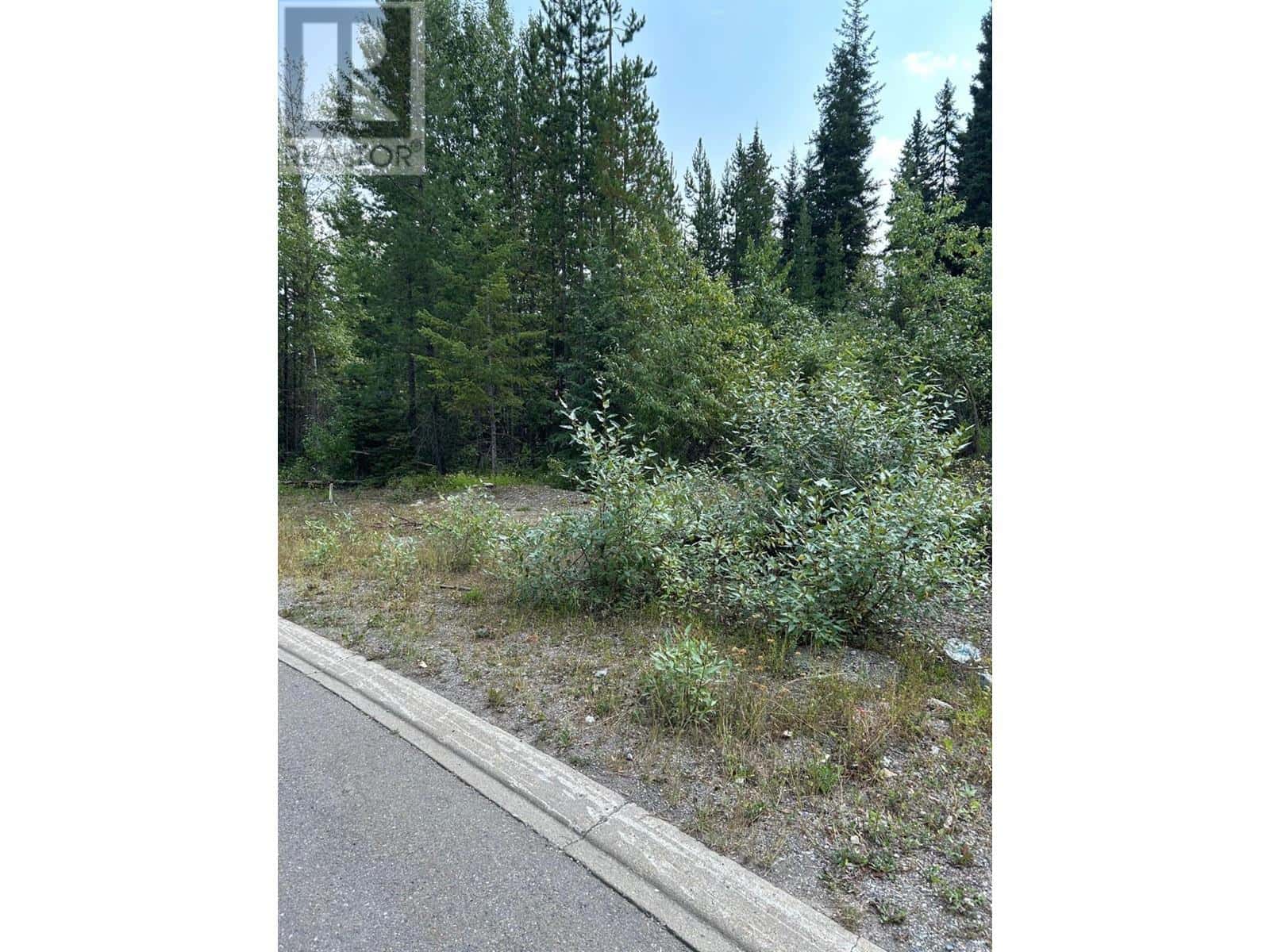 23 DOUGLAS Crescent — Elkford, British Columbia - Photo 4 of 6