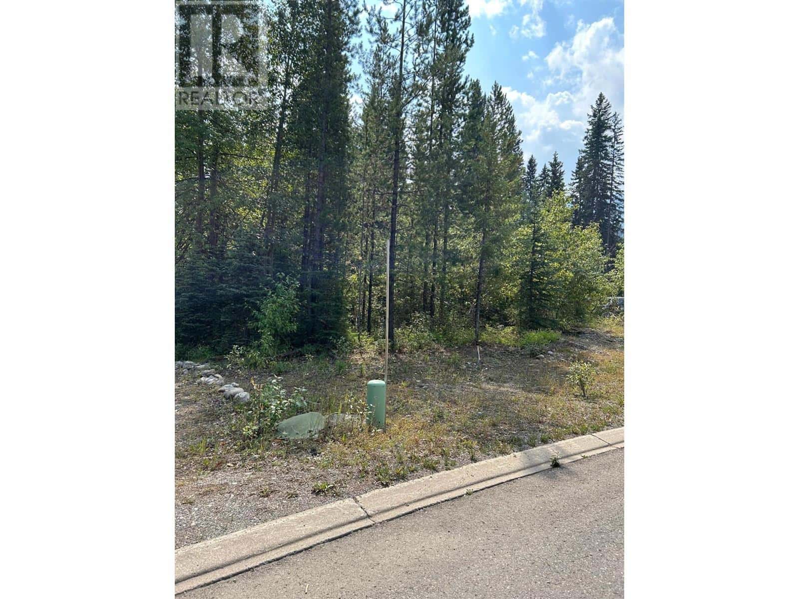 23 DOUGLAS Crescent — Elkford, British Columbia - Photo 3 of 6