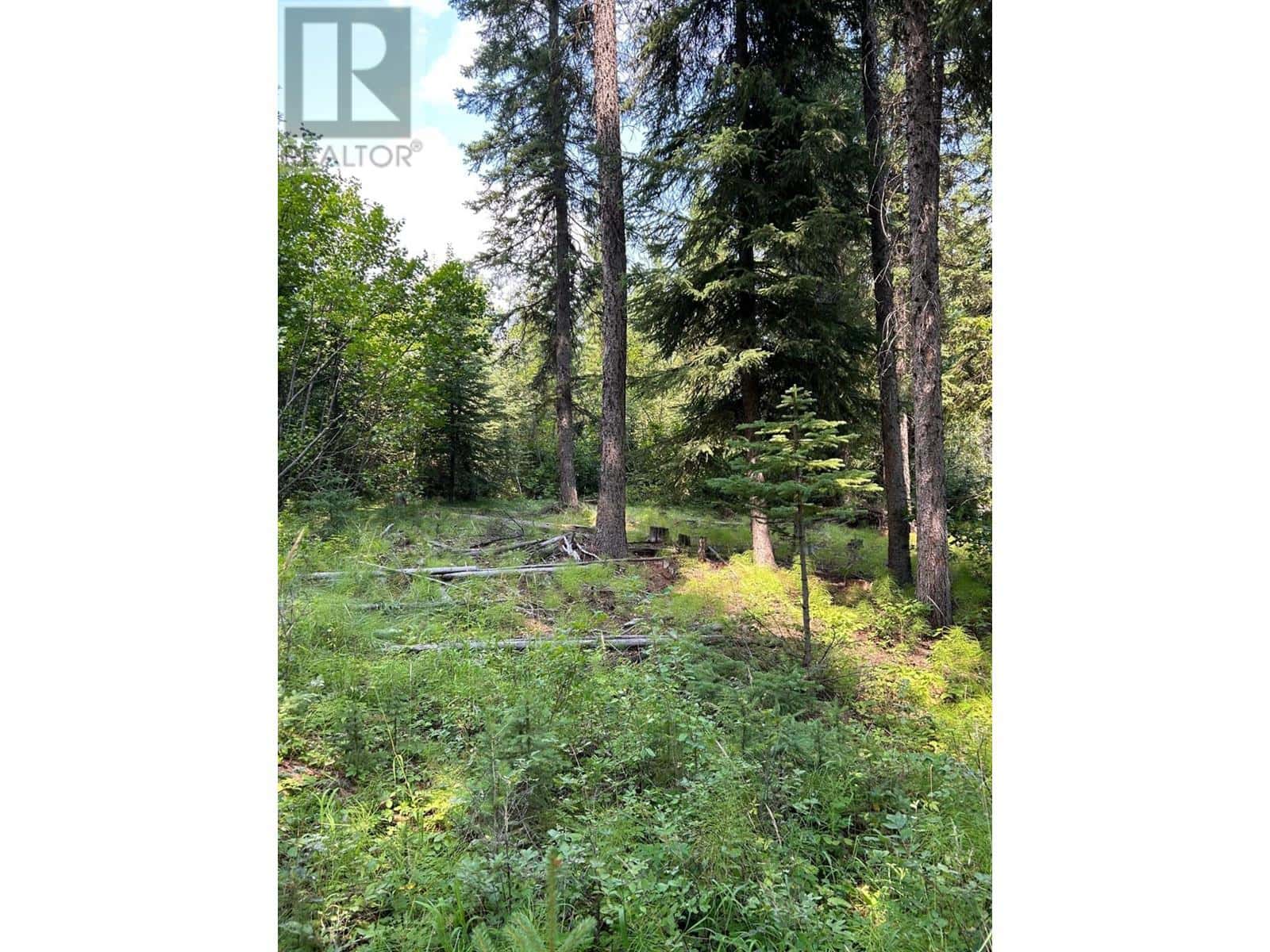 23 DOUGLAS Crescent — Elkford, British Columbia - Photo 2 of 6