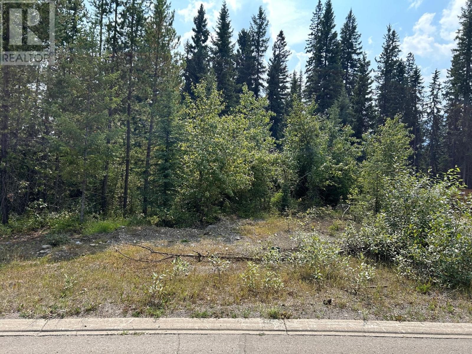 23 DOUGLAS Crescent — Elkford, British Columbia - Main photo